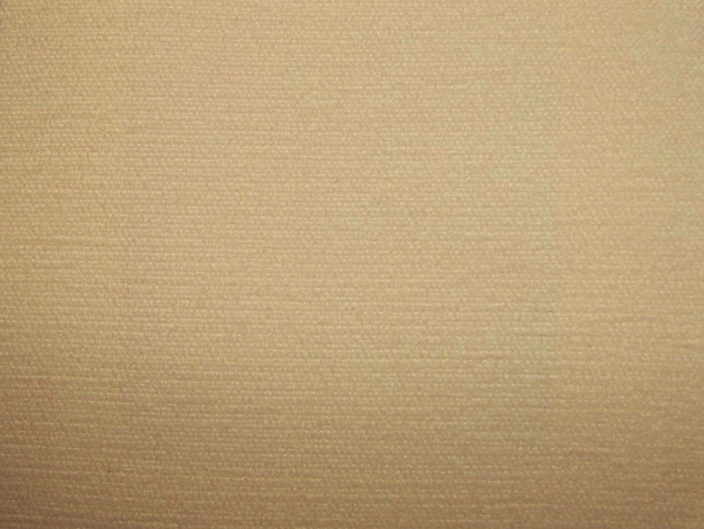 Scatter Cushion in Chenille Velvet